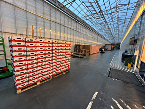 Производство Ультра-фреш под управлением YARUS WMS